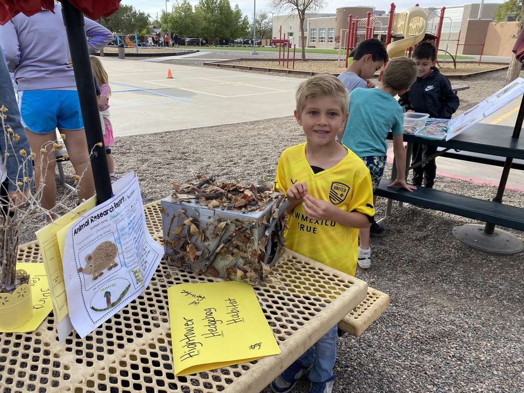 Service & Scholarship at Manzano Day School First Grade Pet Shop