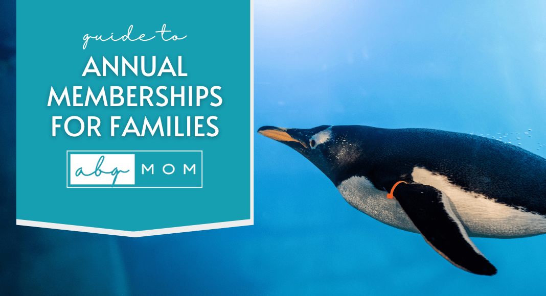 annual memberships in Albuquerque annual memberships in Albuquerque