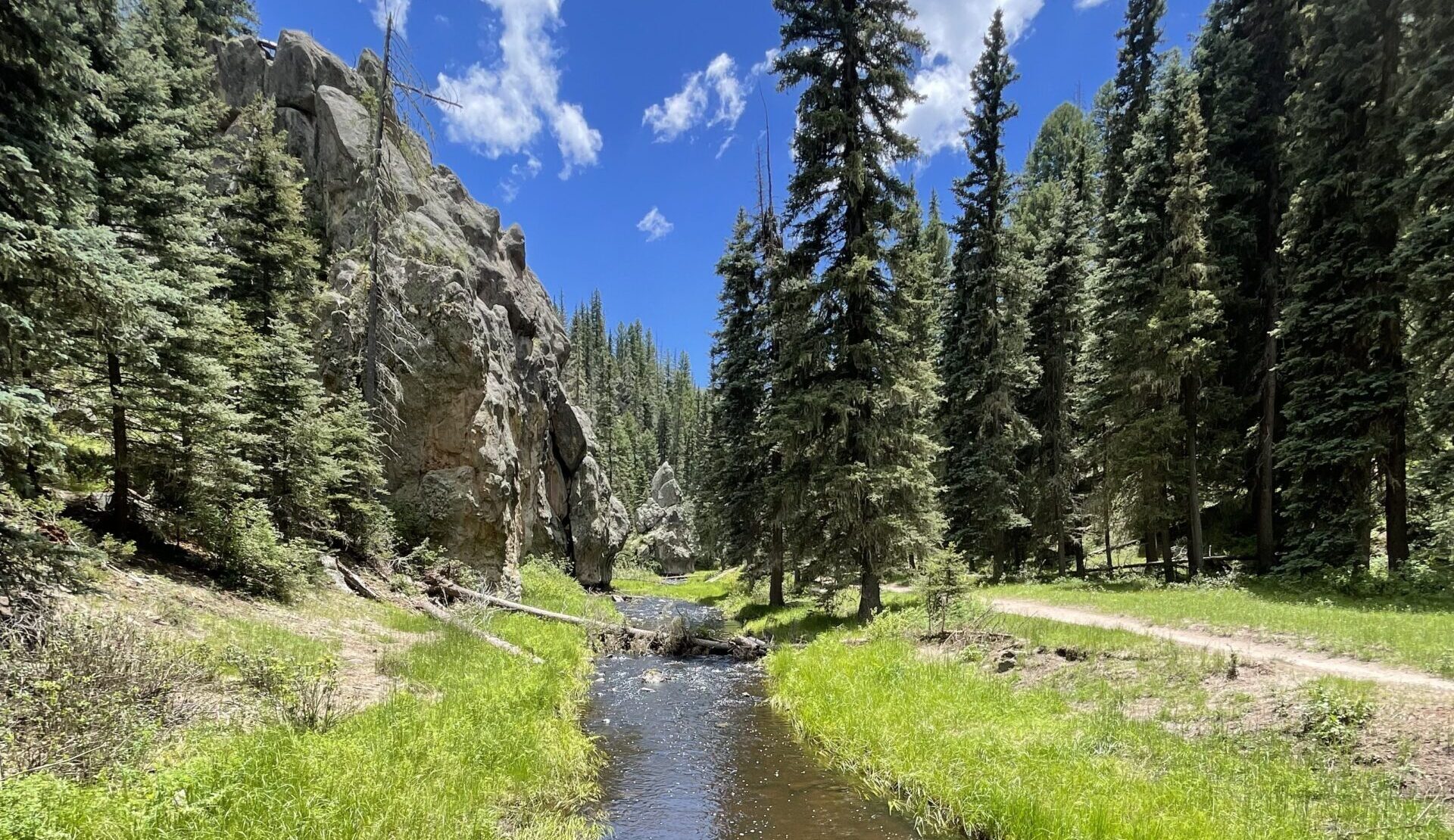 Our Family’s Favorite Hike: Las Conchas Trail