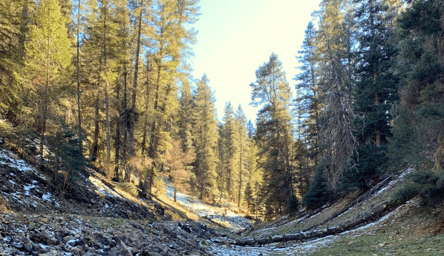 Santa Fe Outdoors with Kids :: Trails, Playgrounds, & Scenic Spots