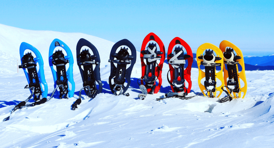 Snowshoeing & Cross-Country Skiing Near Albuquerque: 8 Scenic Spots to Explore