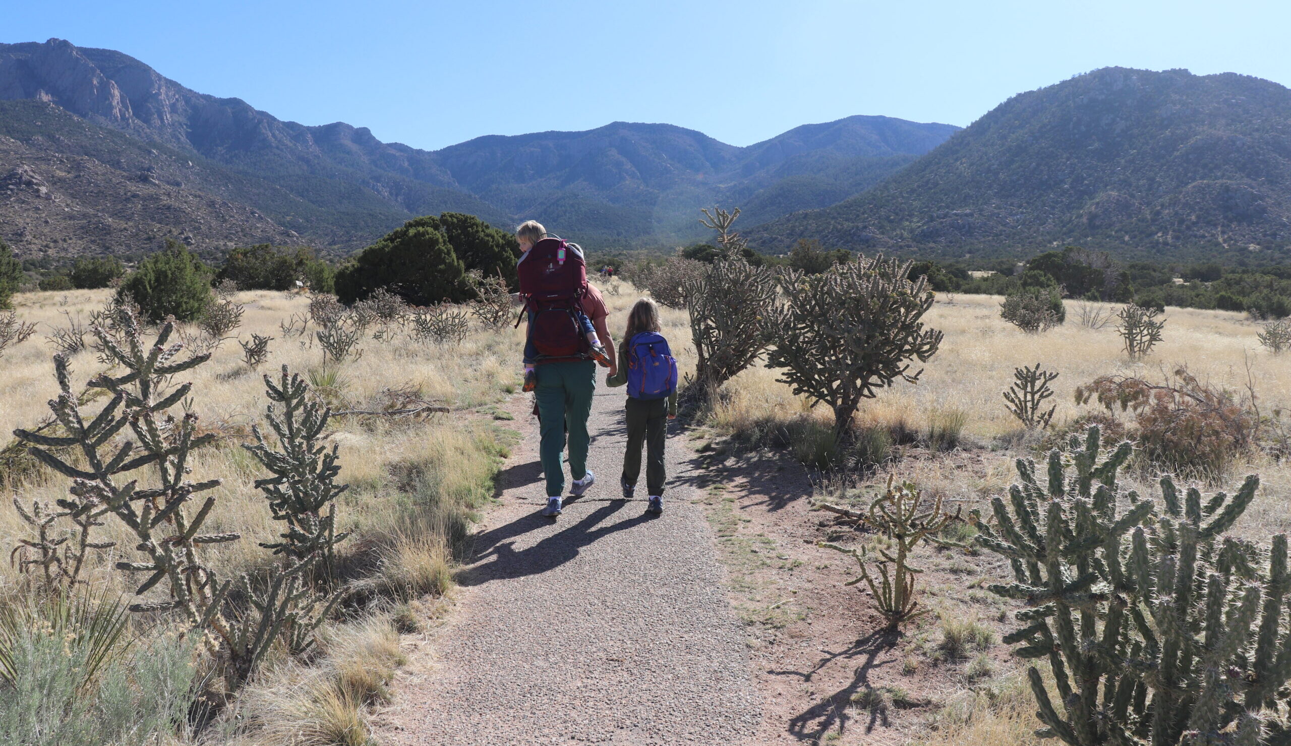 Family-Friendly Hikes and Trails In and Around Albuquerque
