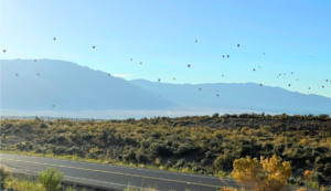 Route 66 Centennial- things to do in ABQ to celebrate
