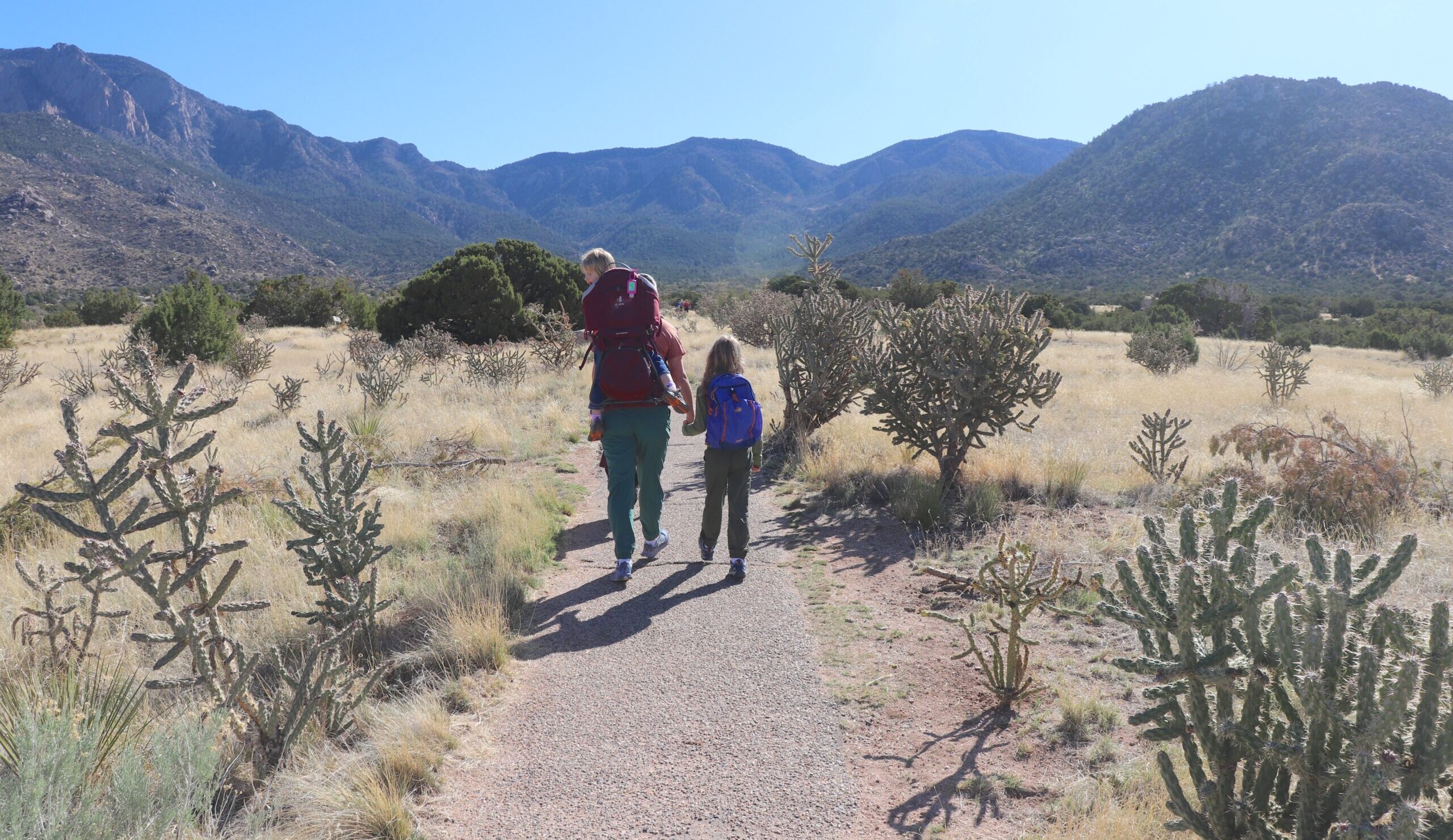 Guide to Hiking Pino Trail