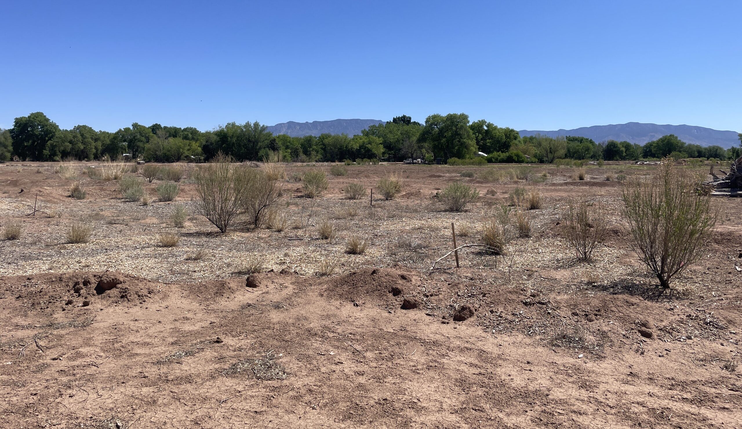 Candelaria Nature Preserve Opens to the Public